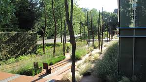 Geneve X2f Jardin Floor Works Landscape Design Landscape Architect Landscape