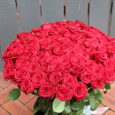 Roses Are Red Violets Are Blue I Love You Pin On Rosses