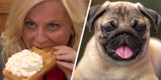 Choose Animals And We'll Guess Your Breakfast Quiz