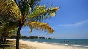 The dusun, tropical rainforest resort, seremban, negeri sembilan, malaysia. Mengenal Pantai Port Dickson Di Malaysia Yang Ternoda Turis Bab