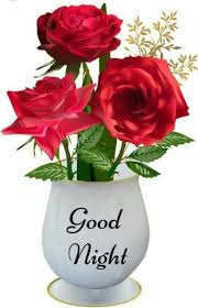 We did not find results for: Good Night Images For Whatsapp Good Night Flowers Photos Of Good Night Good Night Love Images