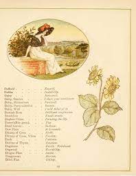 The Language Of Flowers Language Of Flowers Dandelion Flower Flowers