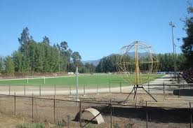 ¡Coquimbo Unido a Semifinales! ¿Lo Logrará Ante Limache en Copa Chile? - Imagen principal del artículo