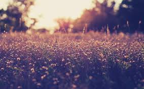 Summer Tumblr Macbook Wallpaper