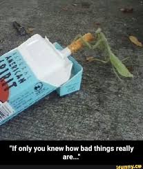 If Only You Knew How Bad Things Really Are If Only You Knew How Bad Things Really Are Ifunny Know your meme ® is a trademark of literally media ltd. ifunny