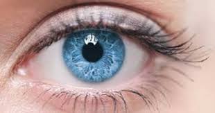 Biyokinezi Goz Rengi Degistirme Telekinezi Hakkinda Hersey 2020 Goz Rengi Gozler Dogal Cilt