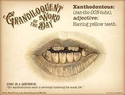 Xanthodontous Zan Tho Don Tuhs Adjective Having Yellow Teeth From Greek Xanthos Yellow Odon Toothed Ear Word Of The Day Unusual Words Emotion Words