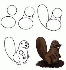 How To Draw A Beaver This Little Creature Can Build A Dam From Wood And Mud Hmmmm A Beaver Dam Drawings Beaver Drawing Animal Drawings