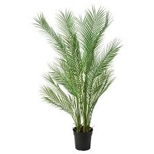 Here are 8 types to grow indoors. Fejka Artificial Potted Plant Indoor Outdoor Palm Diameter Of Plant Pot 7 Ikea