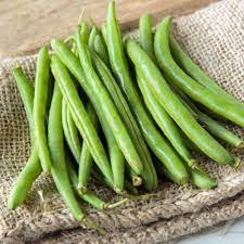 Neue crop tops zum besten preis! Top Crop Bush Bean Plants For Sale Free Shipping