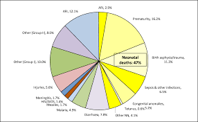 new estimates of the causes of child death under age 5