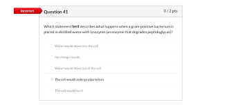 Solved I Believe The Correct Answer Is B No Change In R Chegg Com
