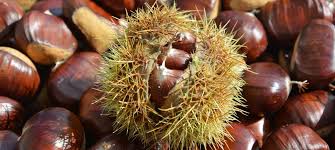 Heisse Maronen Zu Hause Machen Raclette De