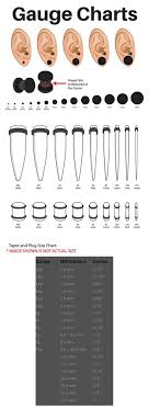 this chart shows the sizes that most plugs tunnels and