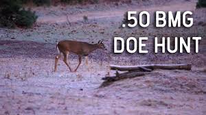 Problems in measuring degrees of injury and suffering experienced from war wounds 25. Unbelievable 50 Bmg Whitetail Deer Hunt At Legends Ranch Youtube
