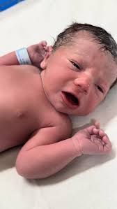 Photo by blender meme (@blendermeme) · August 7, 2025