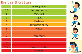 Hiit Training Workout Weight Loss Resources