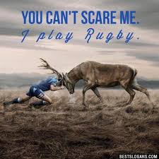 Below are some great fun games. 40 Catchy Motivational Rugby Slogans Sayings 2021