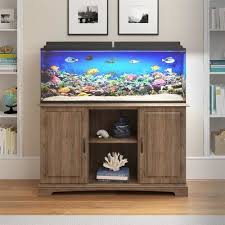 Archie Oscar Deirdrerectangle Aquarium Stand Wayfair Aquarium Stand Fish Tank Stand 75 Gallon Aquarium