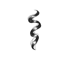 My hair is darkish blonde but this one hair is almost black, very thick and tough and wiry. How To Draw Curly Hair Like A Master Jae Johns