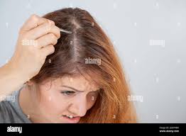 Graue haare frau coiffeur -Fotos und -Bildmaterial in hoher Auflösung