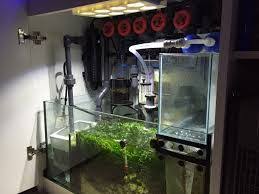Hasil Gambar Untuk Light For Refugium Sump Akuarium