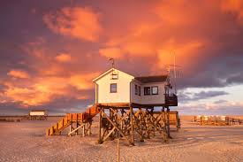 We did not find results for: Ferienwohnung Ferienhaus St Peter Ording Urlaubsguru De