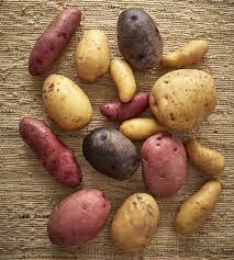 Then just get happy with the spices. Seven Ways To Store Potatoes Storey Publishing