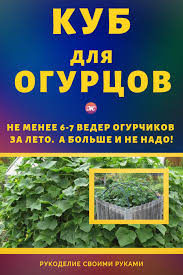 сад огород своими руками огурцы от а до я Kub Dlya Ogurcov Na Zametku Dachnikam Dacha I Ogorod Svoimi Rukami Ogurcy Kak Poluchit Bolshoj Urozhaj Ogurcy Dacha Rasten Vegetable Garden Plants Garden
