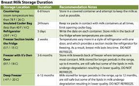 Best Practices For Handling Breast Milk Babygearlab