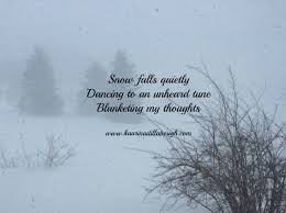 Snow Falls Quietly Siding Quote Winter Forest Snow