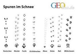 Um den kindern die tierspuren im schnee näher zu bringen, habe ich einige arbeitsposten bereitgemacht. Tierspuren Quiz Tierspuren Ratsel Arbeitsblatt Spuren Im Winter Tracks In Winter Deutschland Quiz Arbeitsblatt Kostenlose Daf Arbeitsblatter Daf