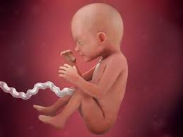 pin on vrpregnancy