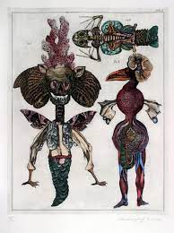 jan svankmajer art galerie svetlana lubos jelinkovi アートのアイデア イラストレーター イラスト