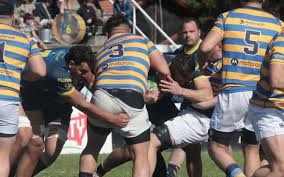 Ganaron La Plata, Los Tilos y San Luis en el Top 12 del Rugby de la URBA -  Deportes