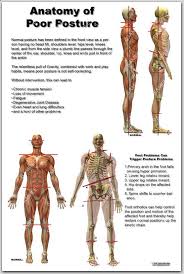 Good Posture Poster Unidad Especializada En Ortopedia Y Traumatologia Www Unidadortoped Pbx 6923370 Bogota Colo Poor Posture Postures Posture Correction