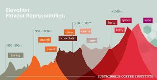 The caffeine level decreases as the roast gets darker. Why Does Density Matter And What Affects The Density Of Coffee Torch Coffee Labs