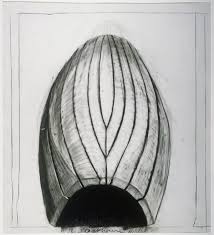 Bildergebnis für Robert Stackhouse