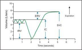 Image result for Pulmonary Function Test Lower Limit of Normal