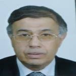 Doctor Alaa Sadek Internist