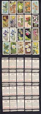 The red cards are the diamond and heart suits, and the black cards are the club and spade suits. Vintage Red Rose Brooke Bond Tropical Bird Cards Artist Trading Cards Art Collectibles Vadel Com