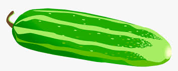Cucumber Clipart Png Cucumber Cucumber Clipart Transparent Png Transparent Png Image Pngitem Pngtree offers hd cucumber clipart background images for free download. cucumber clipart png cucumber