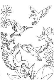 I bought this unicorn coloring page because my daughters love unicorns! 25 Free Hummingbirds Coloring Pages Printable