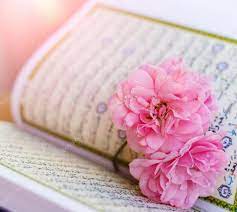 Are you searching for arab png images or vector? Wallpaper Flower Pink Quran Novocom Top