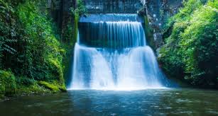 Discover our selection of landscaping supplies such as hand and power tools, edging, mulches our selection of landscaping supplies helps you tackle leaves and prune overgrowth in the fall and early. Ofer Levin Investments Austria Is Becoming A World Leader In Hydropower Manufacturing Issuewire