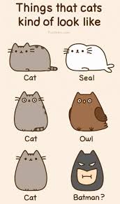 Download for free apk, data and mod full android games and apps at . Repined By Pinterest Android App Snapshots And Apk Download Link At Here Http Ginkgomobile Com Pusheen Cat Nyan Cat Pusheen