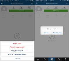 Instagram doesn't send out a notification to tell you that a. How To Know If Someone Blocked You On Instagram