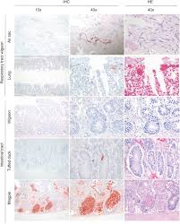 We also survey existing validation eorts. Enterotropism Of Highly Pathogenic Avian Influenza Virus H5n8 From The 2016 2017 Epidemic In Some Wild Bird Species Veterinary Research Full Text