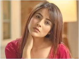 Image result for shehnaaz gill