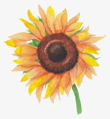 Download Sunflower Watercolor Png Making Time Your Friend Svg Watercolor Sunflower Transparent Png Image Transparent Png Free Download On Seekpng